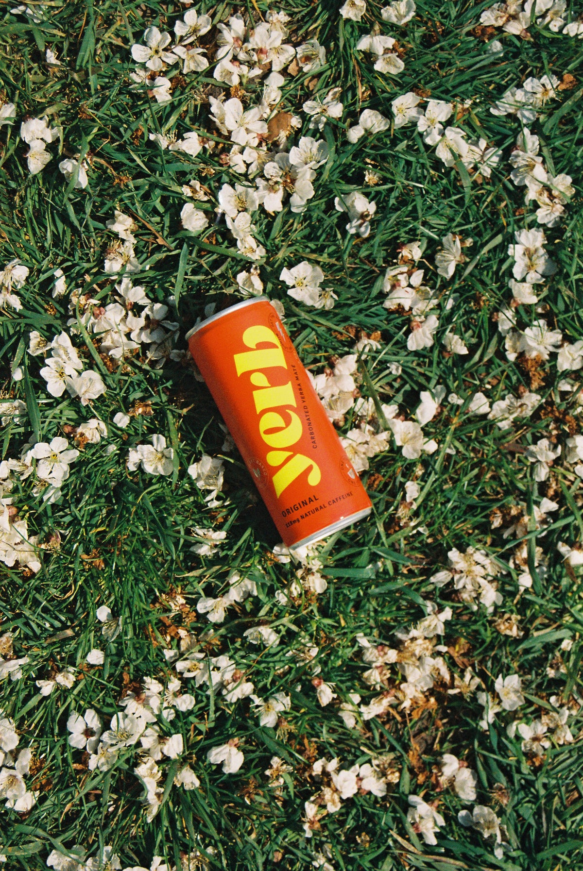 Yerb: Carbonated Yerba Mate | Plant Based Energy